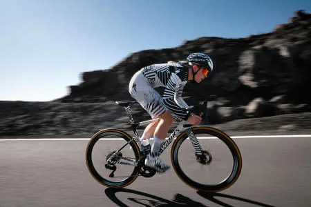 Specialized